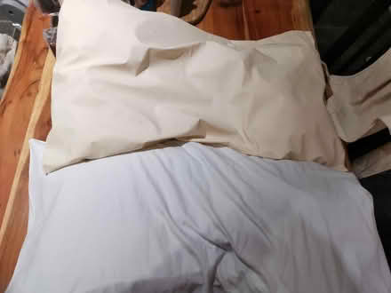 Photo of free 2 x wipeable pillows (Harlington, LU5) #1
