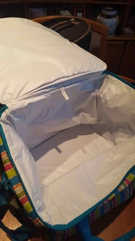 Photo of free Insulated picnic bag (Bexleyheath DA8) #2
