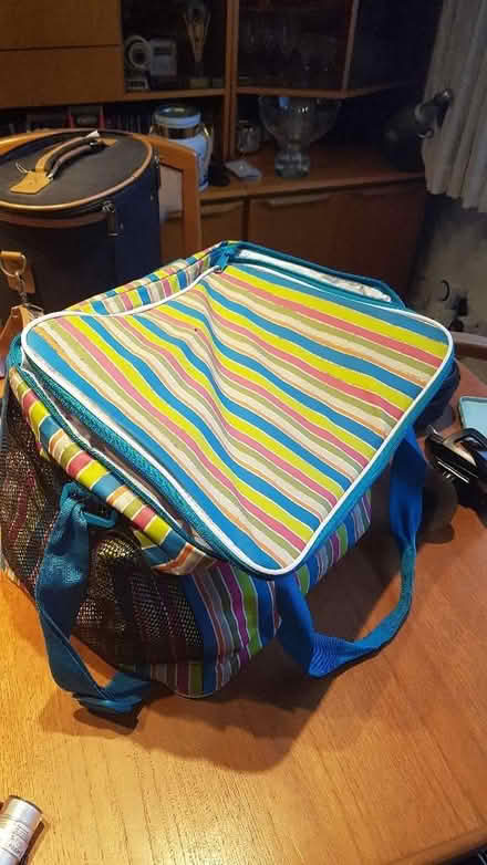 Photo of free Insulated picnic bag (Bexleyheath DA8) #1