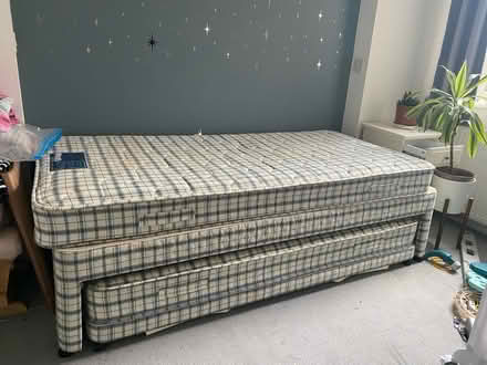 Photo of free Trundle bed (SW20 Wimbledon) #1