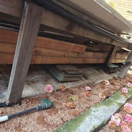 Photo of free Assorted wood for construction (Alameda) #4