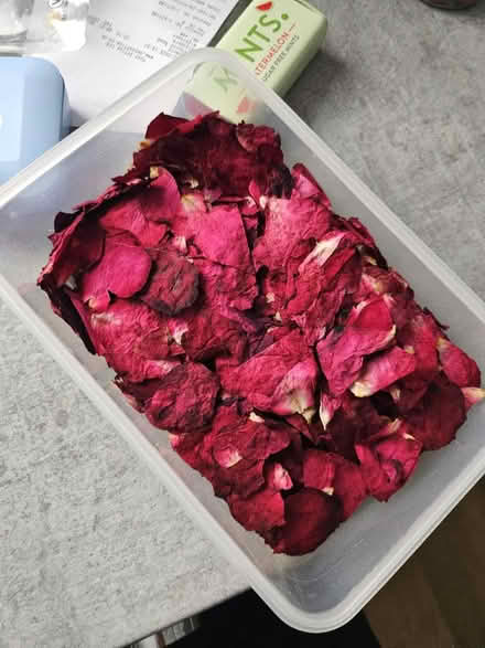 Photo of free Dried rose petals (HA7) #1
