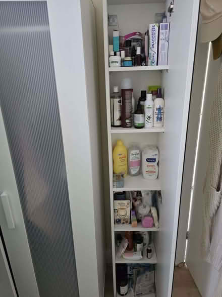 Photo of free Mirrored cabinet from BR3 4NR (Elmers End BR3) #4