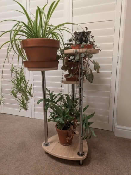 Photo of free Plant stand (Brundall NR13) #2