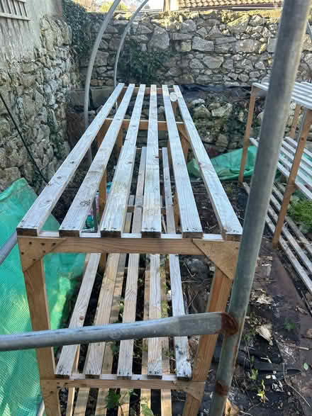 Photo of free Poly tunnel with shelving (Dalkey) #3