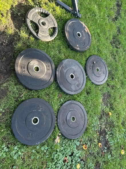 Photo of free selection of weights and bench (Dalkey) #4