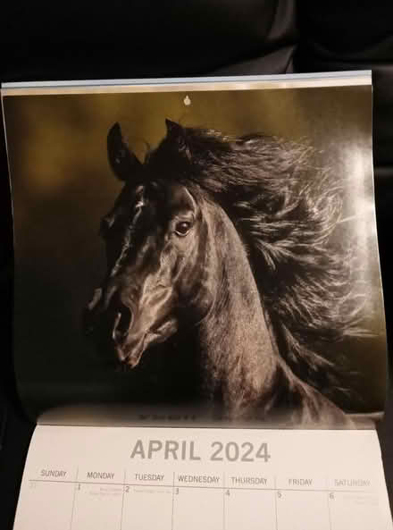 Photo of free Beautiful photos horse calendar (Leith EH6) #4