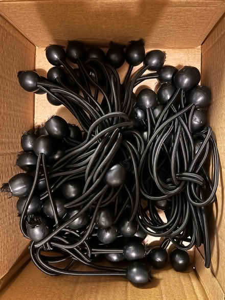 Photo of free Elasticated bungee toggle ties (Clapham SW4) #1