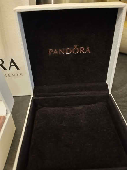 Photo of free Empty genuine Pandora gift boxes/bag (North Wootton BA4) #4