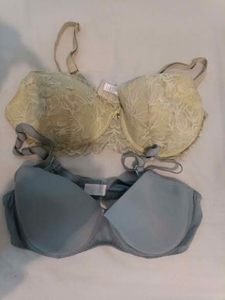 Photo of free Bras 38D (New Penshaw NE38) #2
