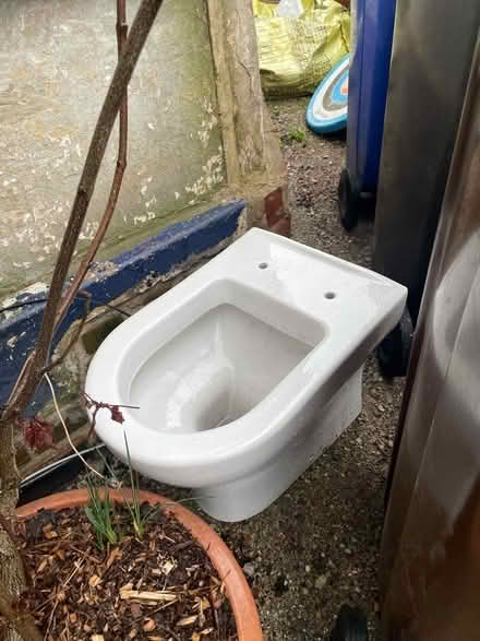Photo of free Toilet pan (Greystones S11) #1