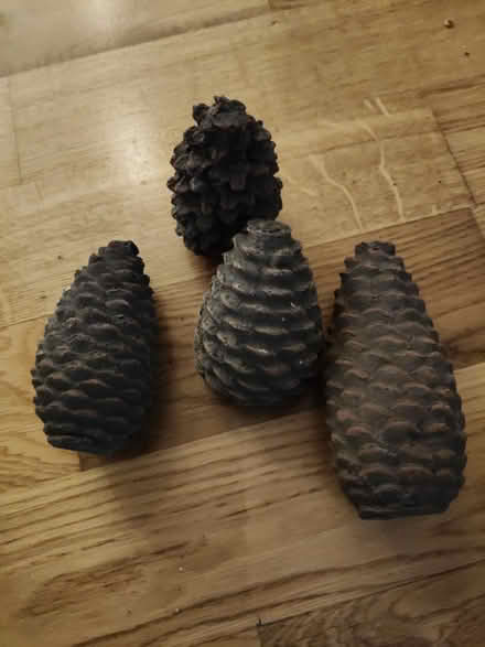 Photo of free Ceramic fir cones (Jericho OX2) #1