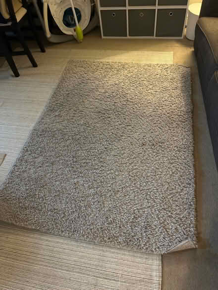 Photo of free Medium sized rug (Tooting bec) #1