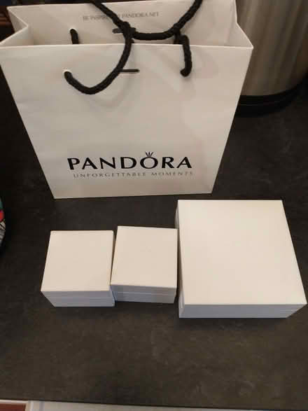 Photo of free Empty genuine Pandora gift boxes/bag (North Wootton BA4) #3