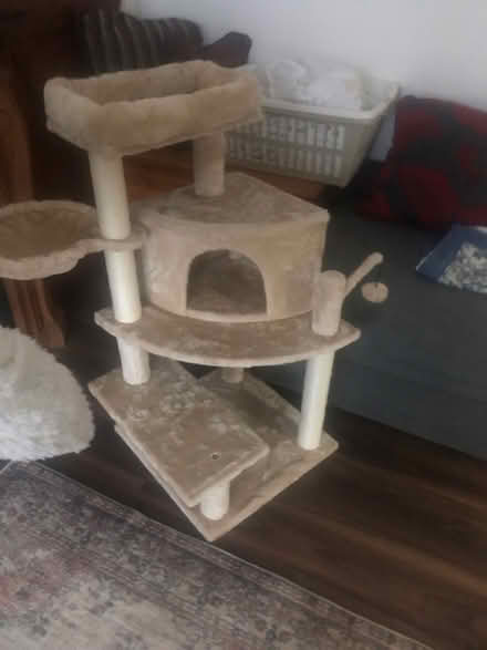 Photo of free Brand new cat tree (CM11 1NQ) #2