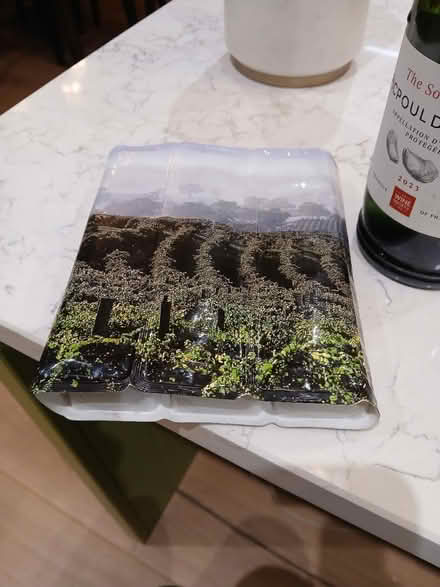 Photo of free Wine cooler (TW12) #2