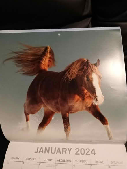 Photo of free Beautiful photos horse calendar (Leith EH6) #2
