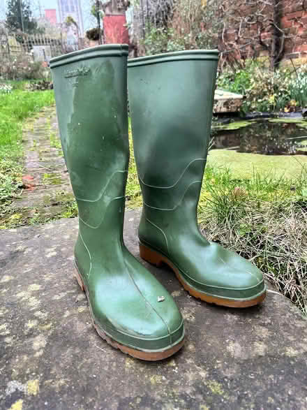 Photo of free Ladies size 4 green wellies (Long Melford CO10) #1