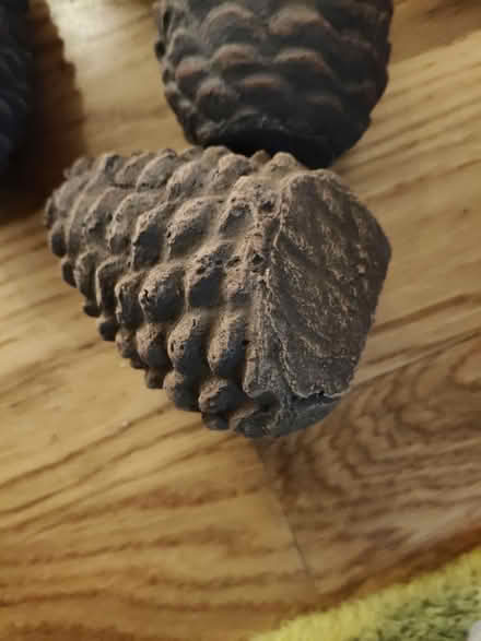 Photo of free Ceramic fir cones (Jericho OX2) #3