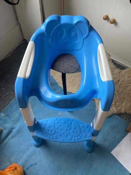Photo of free Little kids toilet seat (Donnington Bridge OX4) #1