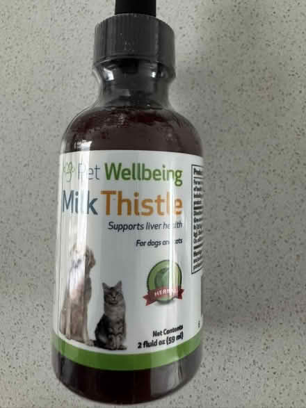 Photo of free for dogs/cats (Bloor/Brunswick area) #3