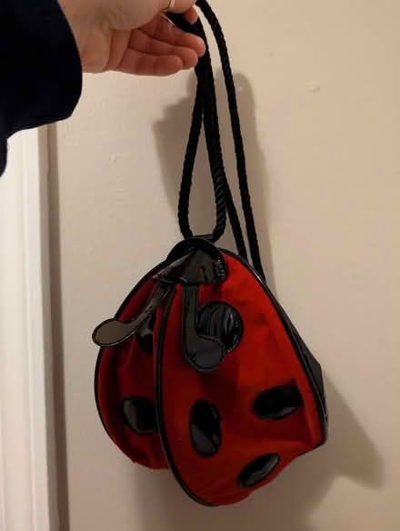 Photo of free Ladybug backpack purse (Main St - Pleasant Ln Lombard) #1