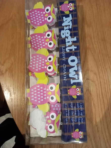 Photo of free Night Owl Light Chain (Leatherhead KT22) #1