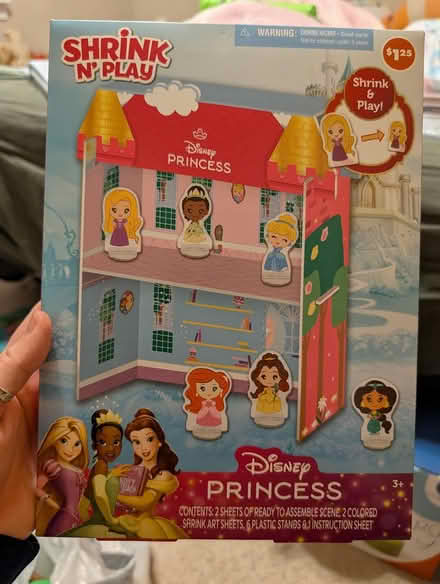 Photo of free Disney Princess Shrink N' Play (Main St - Pleasant Ln Lombard) #1