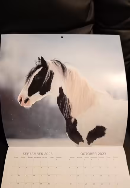 Photo of free Beautiful photos horse calendar (Leith EH6) #1