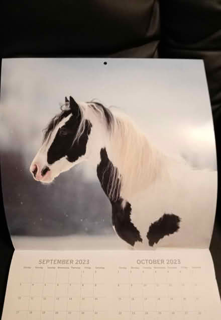Photo of free Beautiful photos horse calendar (Leith EH6) #1