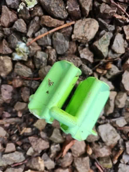 Photo of free Cane supports (Barnard's Green WR14) #2