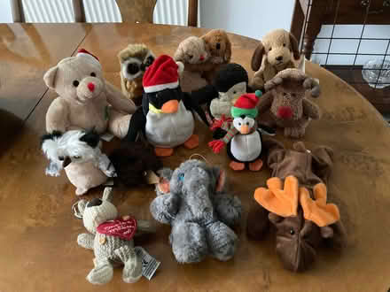 Photo of free Assorted Soft Toys (West Byfleet KT15) #1