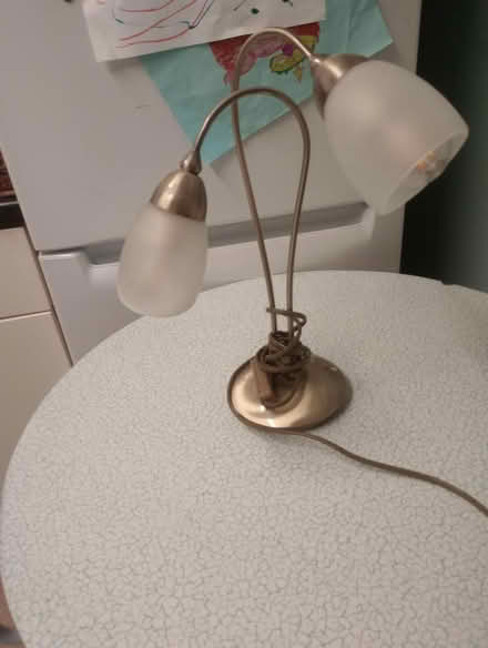 Photo of free Small double lamp (South Abingdon OX14) #1