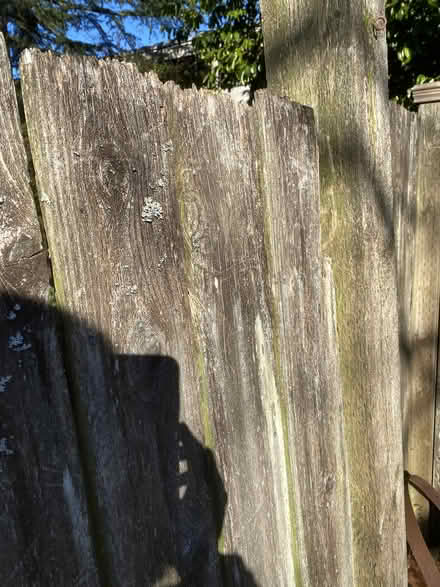Photo of free old cedar boards and posts (Wedgewood) #1
