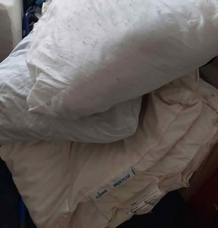 Photo of free Double duvet and 2 pillows (OX3) #1