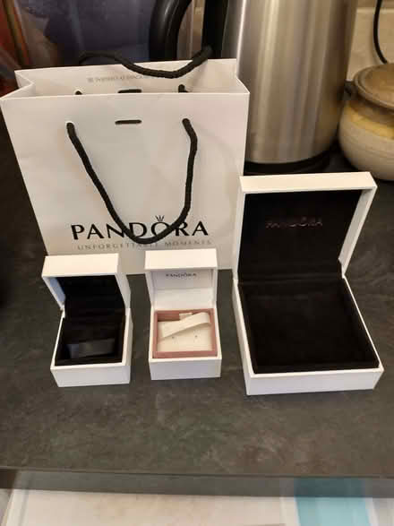 Photo of free Empty genuine Pandora gift boxes/bag (North Wootton BA4) #1