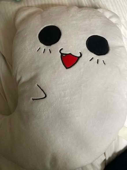 Photo of free Ghost cat plushie (Lewes BN7) #1
