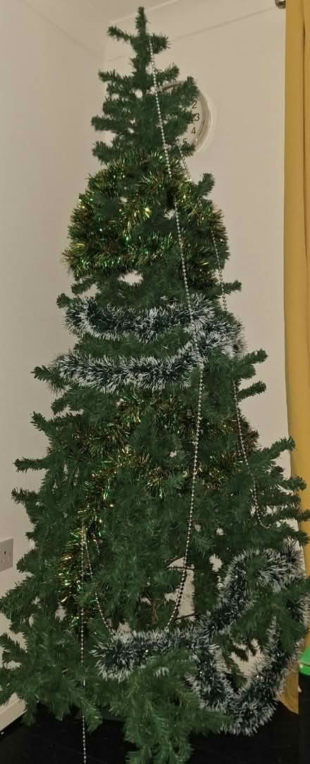 Photo of free 6ft Christmas Tree (Hackney E9) #1