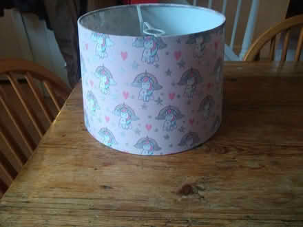 Photo of free Unicorn lampshade (Newtown RG1) #1