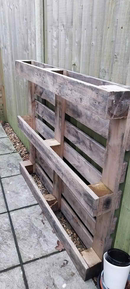 Photo of free Wooden pallet (Bedhampton PO9) #1