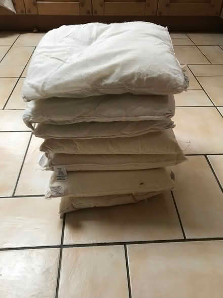 Photo of free Cushion inserts (Linslade LU7) #1
