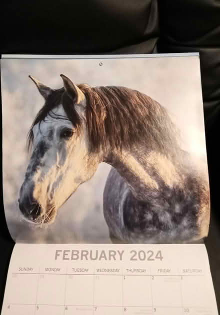 Photo of free Beautiful photos horse calendar (Leith EH6) #3