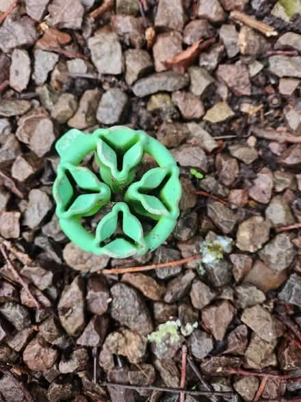 Photo of free Cane supports (Barnard's Green WR14) #1