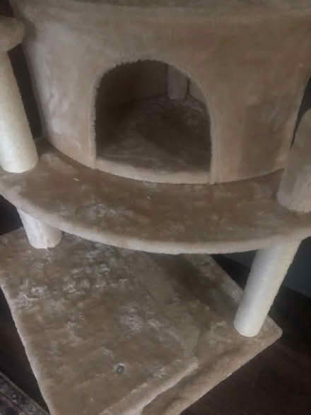 Photo of free Brand new cat tree (CM11 1NQ) #3