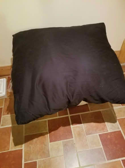 Photo of free Large black cushion unused (Ranelagh/Rathmines) #1
