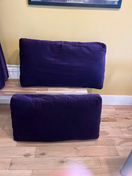 Photo of free Large sofa cushions (G43 Pollokshaws) #2