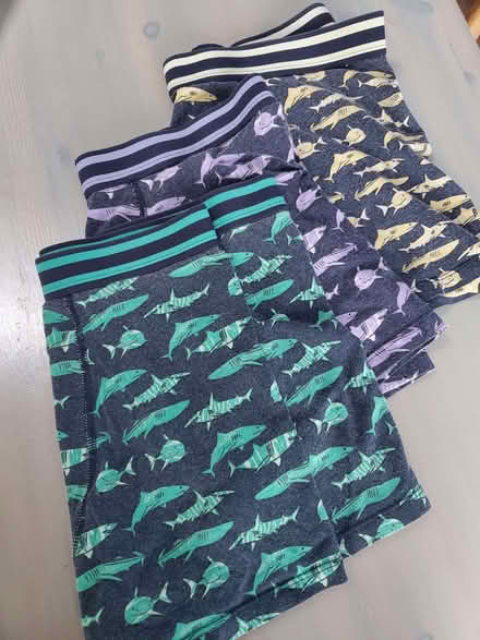 Photo of free Boy's Underpants Age 13-14 (TN25) #1