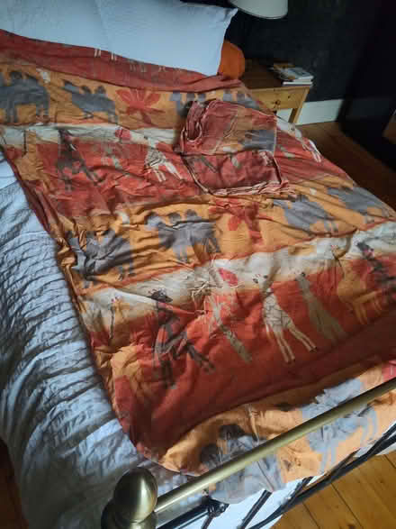 Photo of free Single duvet and bedding (Rothbury NE65) #2