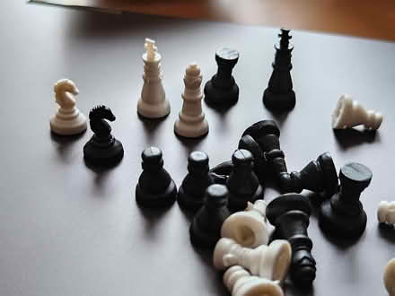 Photo of free Teeny tiny little chess pieces (Woking GU22) #1