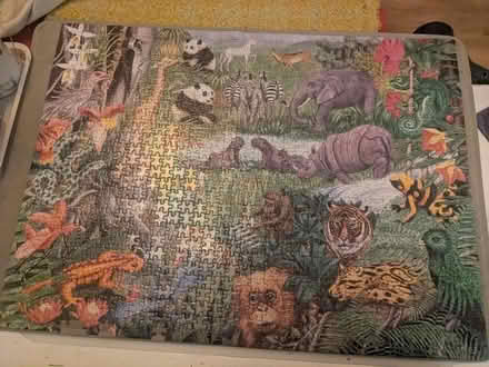 Photo of free Puzzle (Earlham NR4) #1